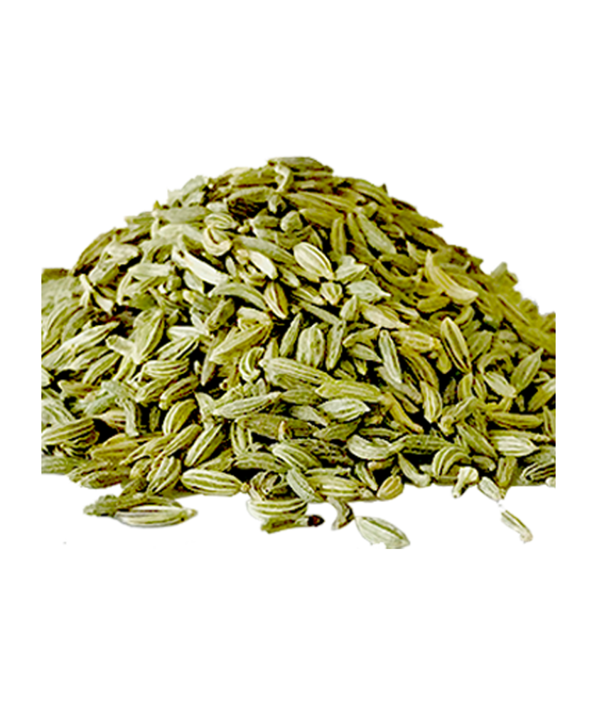 Finocchietto Selvatico - Wildfenchel Samen - Image 3