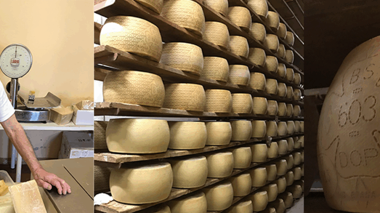 BIO Grana Padano – hier ist das noch echtes Handwerk