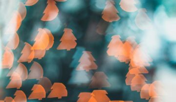 Weihnachts-Degustation – Inspiration, Genuss & Geschenke