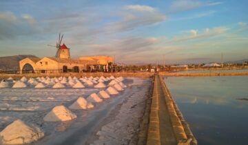 Salz – Vielfalt in Herkunft, Struktur und Geschmack